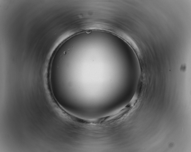 X0000102791138200808181253