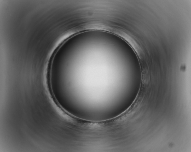 X0000102791139200808181253