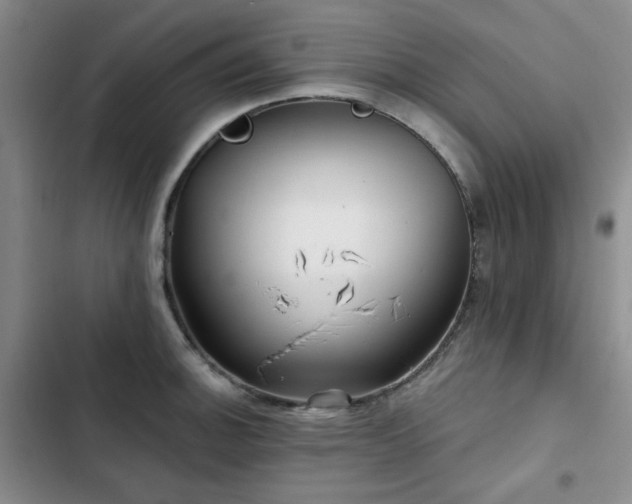 X0000102791140200808181253