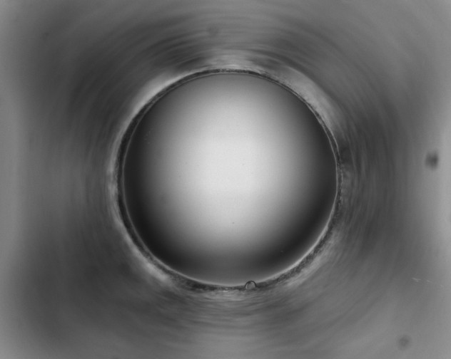 X0000102791141200808181253
