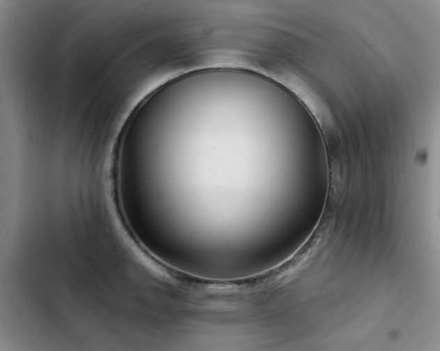 X0000102791142200808181253