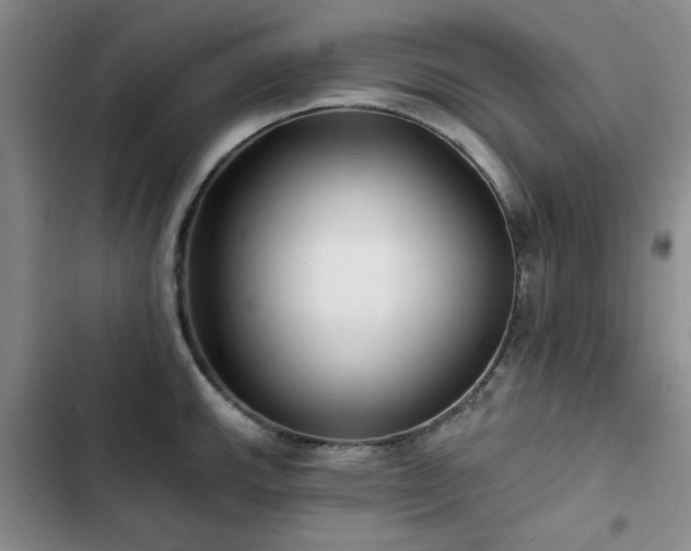 X0000102791143200808181253
