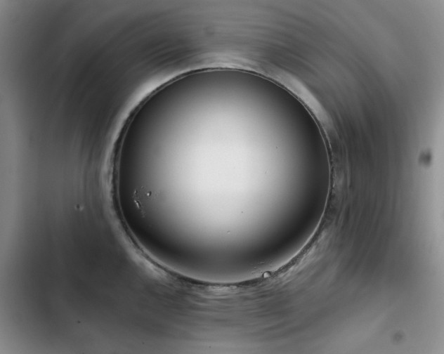 X0000102791144200808181253