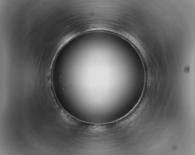X0000102791145200808181253