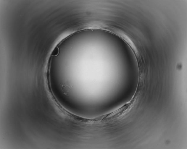 X0000102791146200808181253