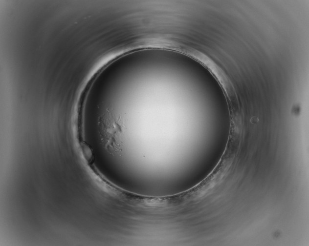 X0000102791147200808181253