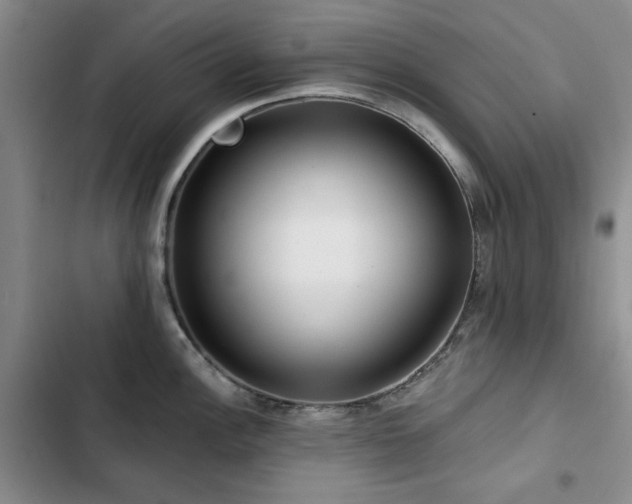 X0000102791148200808181254