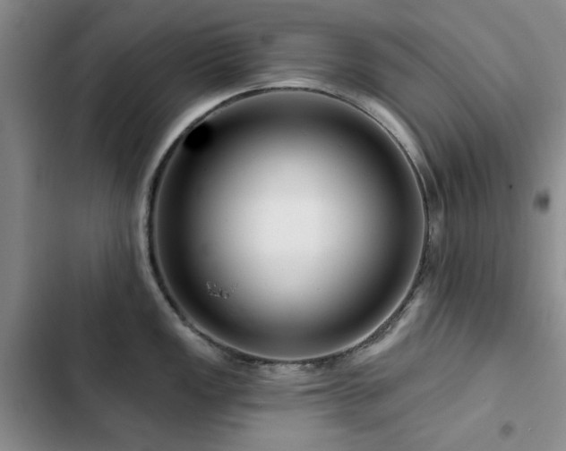 X0000102791149200808181254