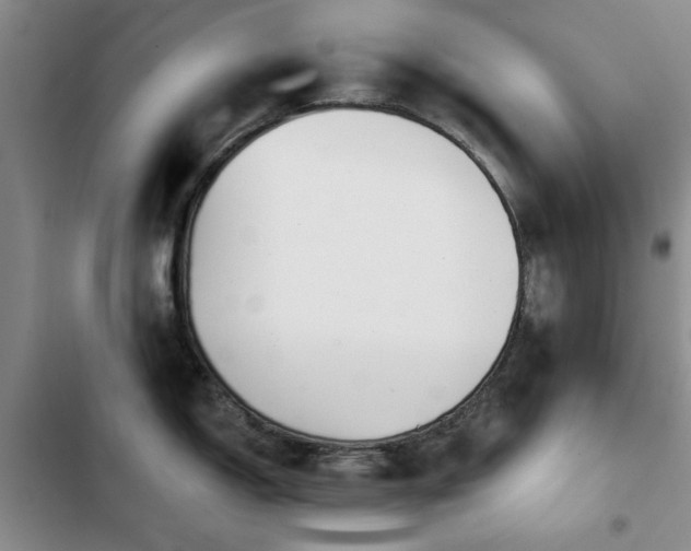 X0000102791150200808181254