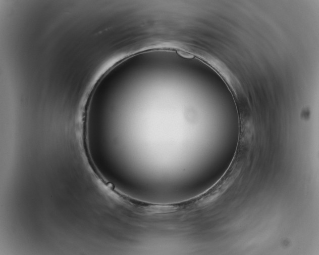 X0000102791151200808181254