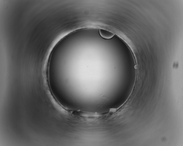 X0000102791152200808181254