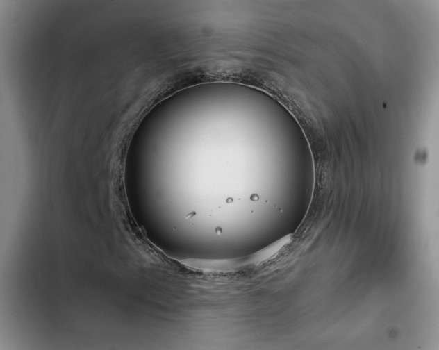 X0000102791153200808181253