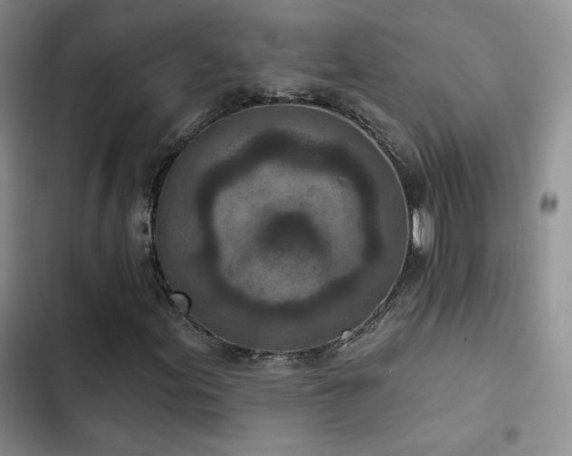 X0000102791155200808181253