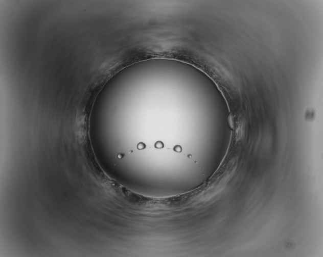 X0000102791156200808181253