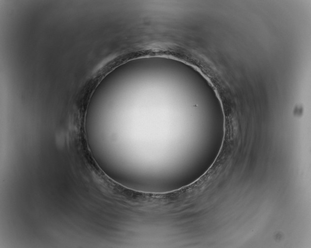 X0000102791158200808181253