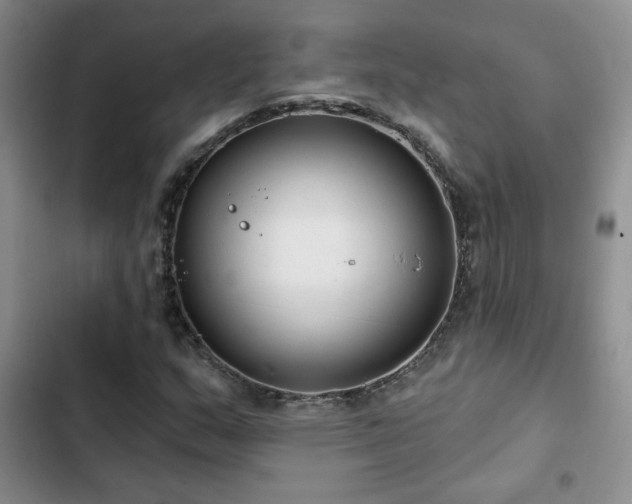 X0000102791159200808181253