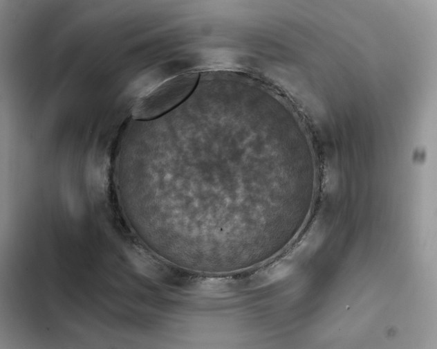 X0000102791161200808181253