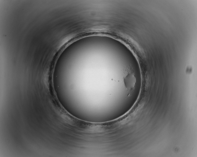 X0000102791162200808181253