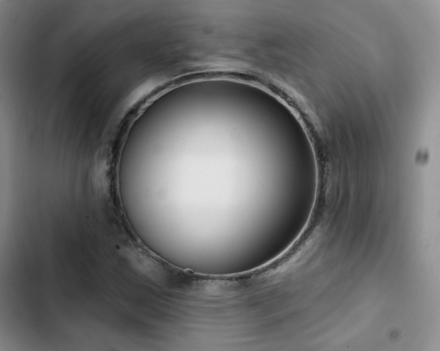 X0000102791163200808181253