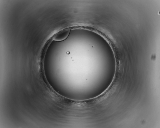 X0000102791165200808181252