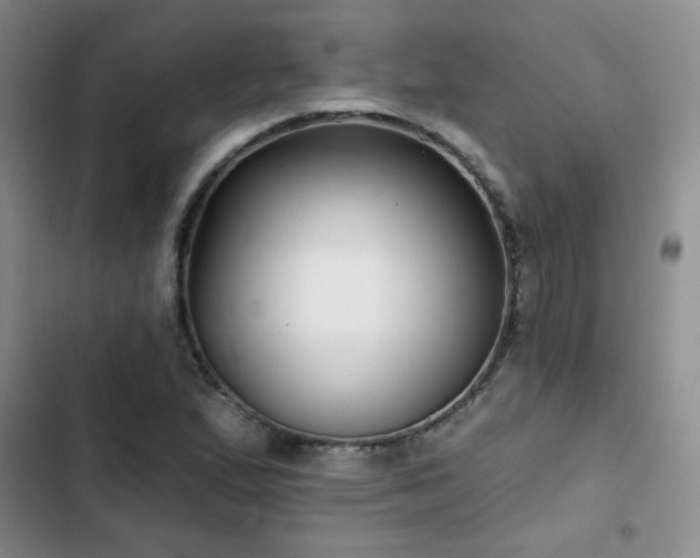 X0000102791167200808181252