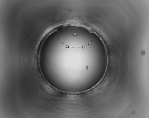 X0000102791168200808181252