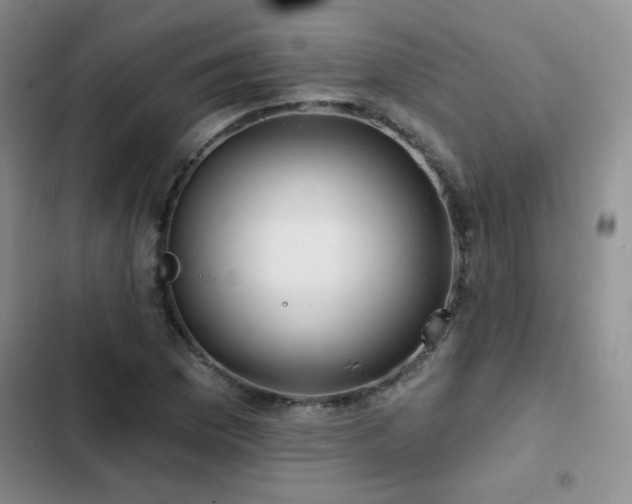 X0000102791169200808181252