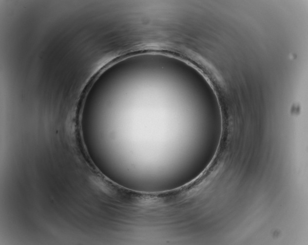 X0000102791170200808181252