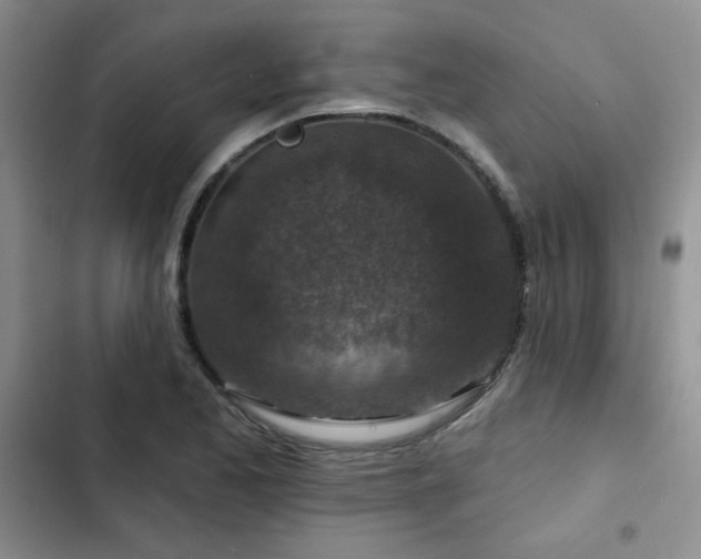 X0000102791173200808181252