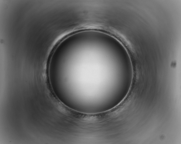 X0000102791174200808181252