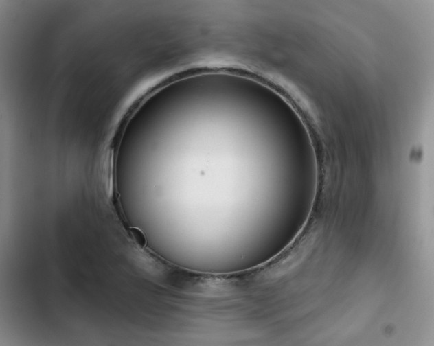 X0000102791175200808181252