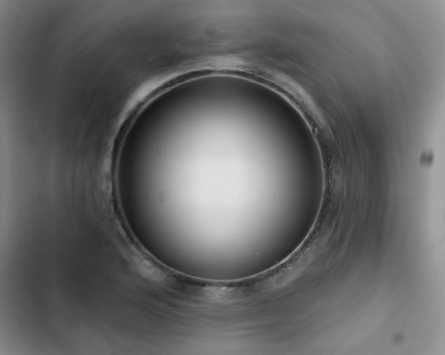 X0000102791176200808181252