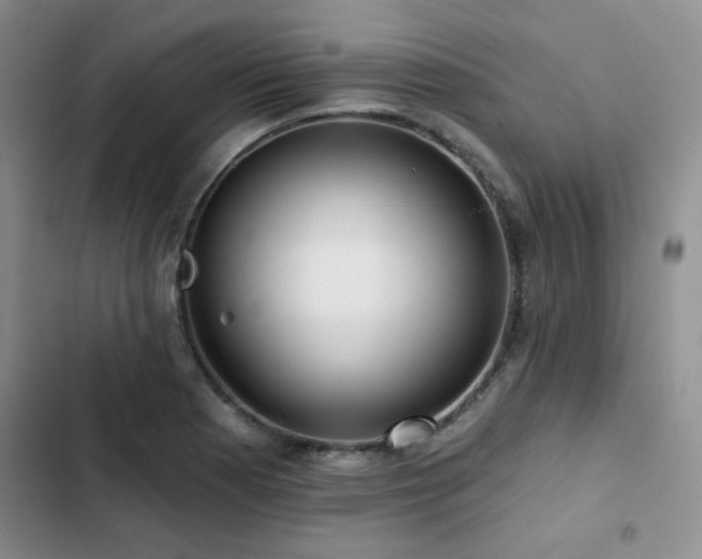 X0000102791177200808181252