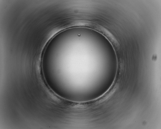 X0000102791178200808181252