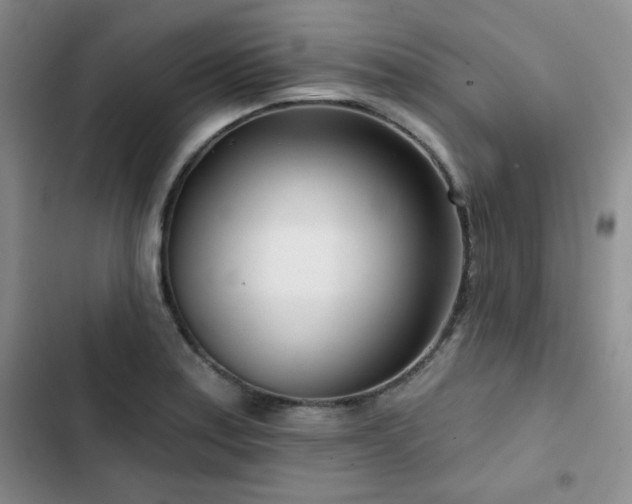 X0000102791179200808181252