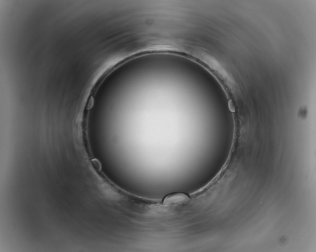 X0000102791181200808181252