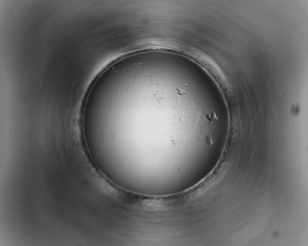 X0000102791182200808181252