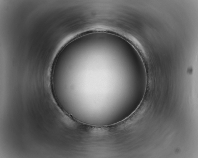 X0000102791183200808181252