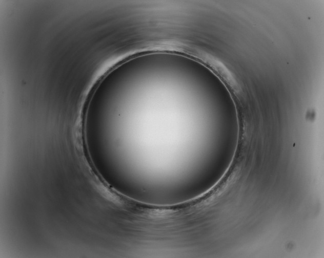 X0000102791184200808181252