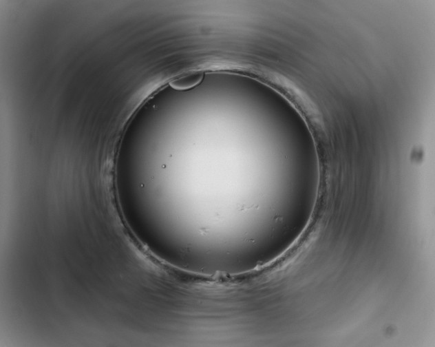 X0000102791185200808181252