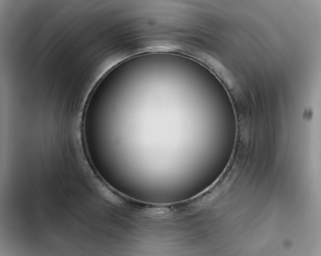 X0000102791186200808181252