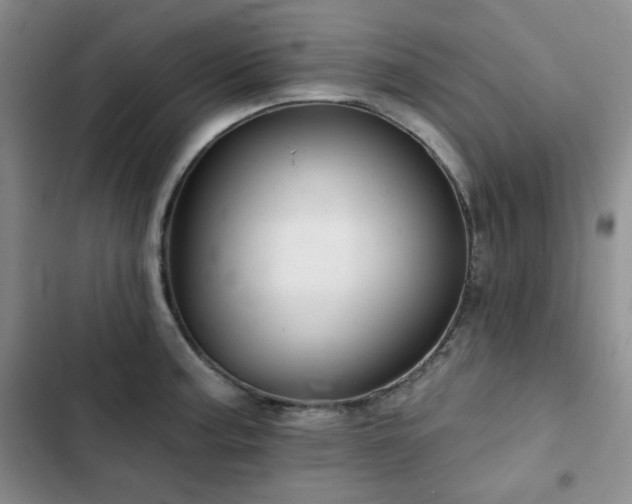 X0000102791187200808181252