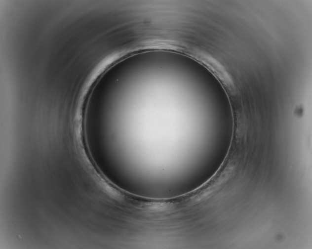 X0000102791188200808181252
