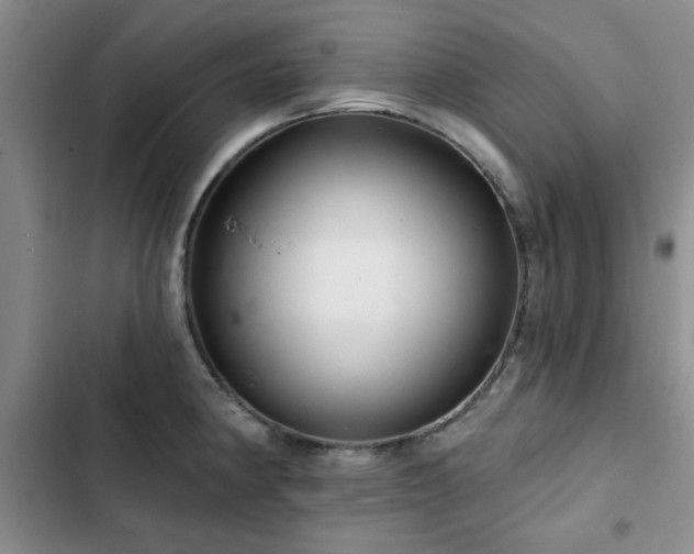 X0000102791190200808181252