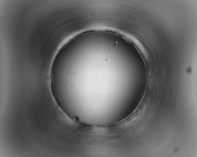 X0000102791191200808181252