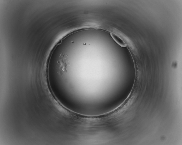 X0000102791192200808181252