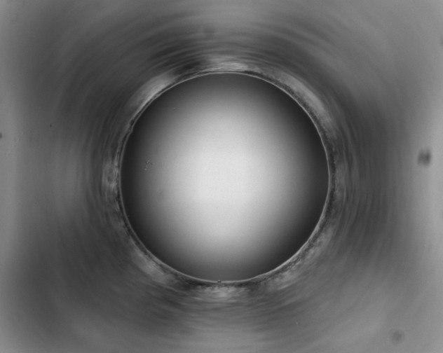 X0000102791193200808181252