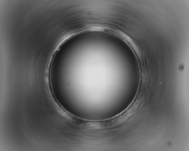 X0000102791194200808181252