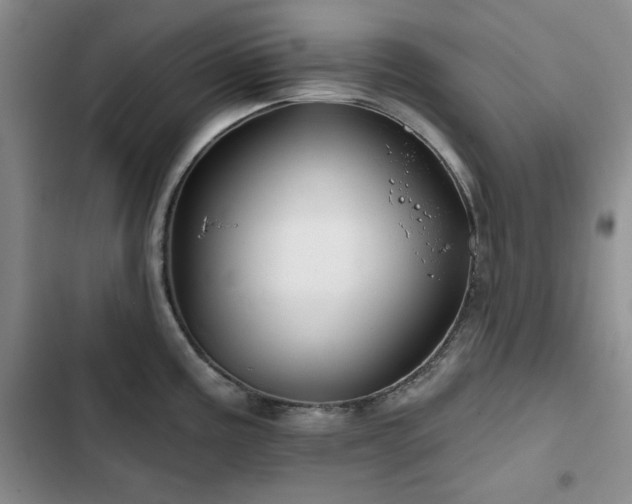 X0000102791195200808181252