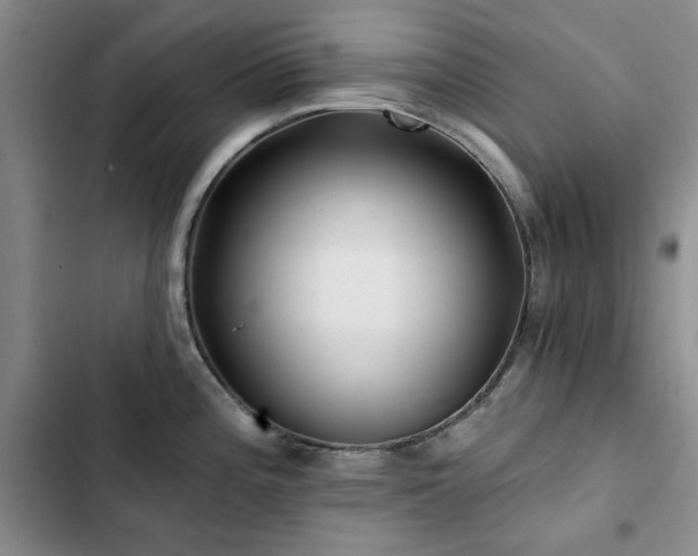 X0000102791196200808181252